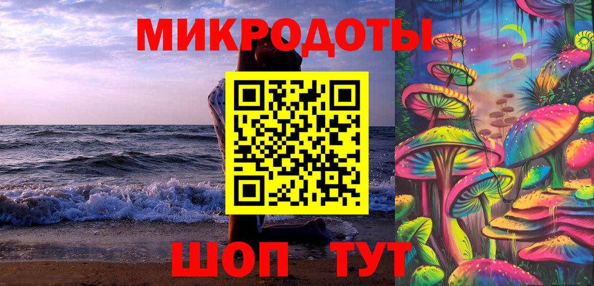 Псилоцибиновые грибы мицелий  сколько стоит  Псилоцибиновые грибы Psilocybe  Братск  Вход с VPN 