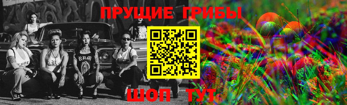 Псилоцибиновые грибы Cubensis Братск